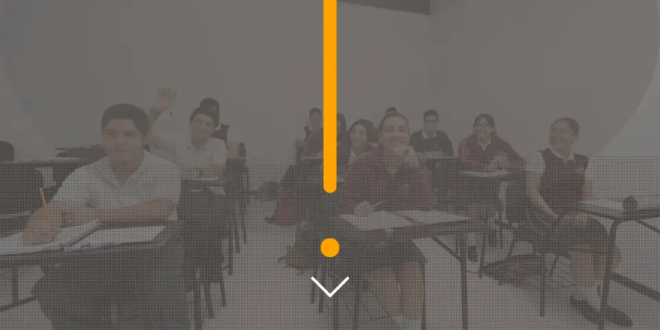 Tu camino comienza aquí